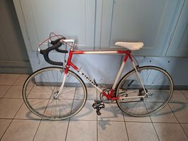 Montana Rennvelo