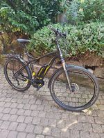 Herren Elektro Velo 