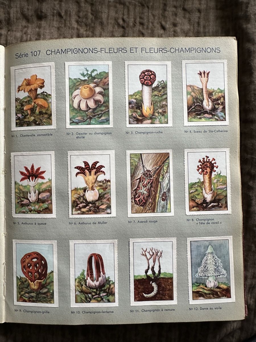 Sammelbilder & Trading cards: NPCK ALBUM – Gebraucht aus Duebendorf von 69R81y 4