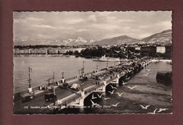 GENEVE - Pont du Mont Blanc - Mouettes