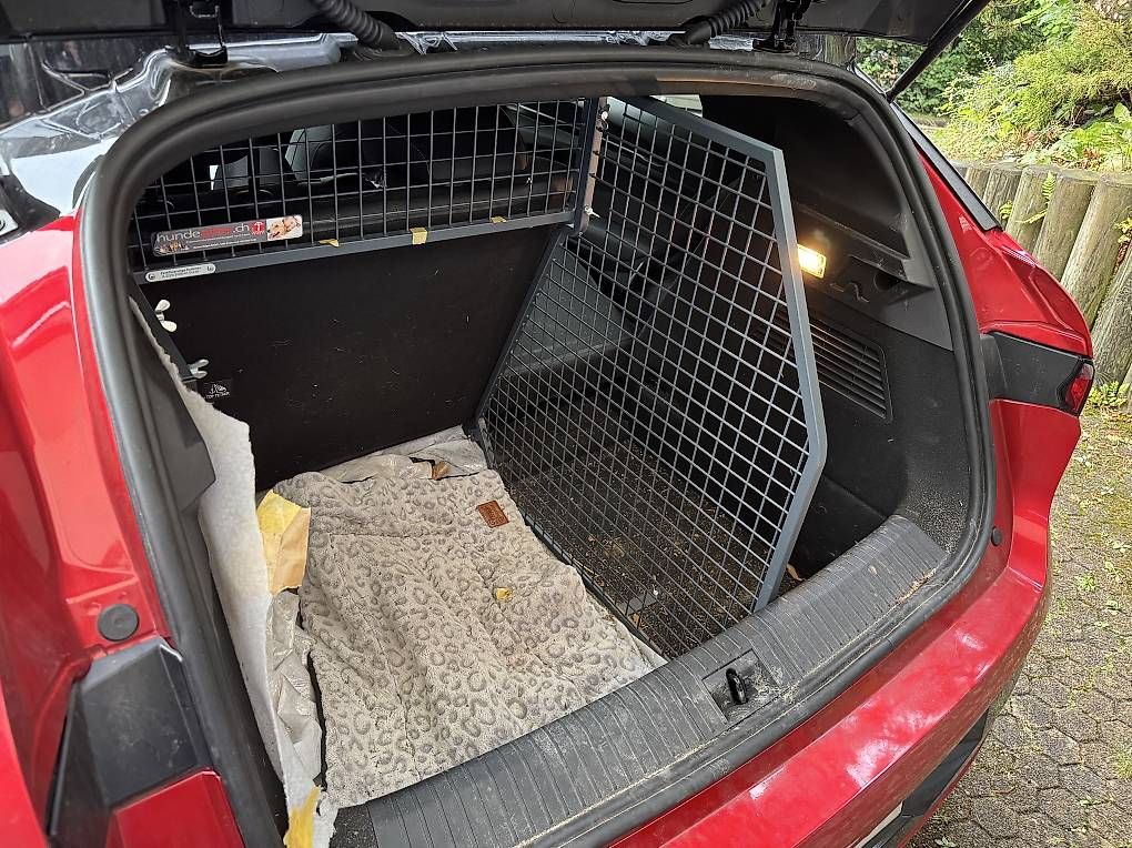 Käfige, Transport & Sicherheit: Hundegitter Renault Megane E-Tech – Gebraucht aus Magglingen/Macolin von ellocki 1