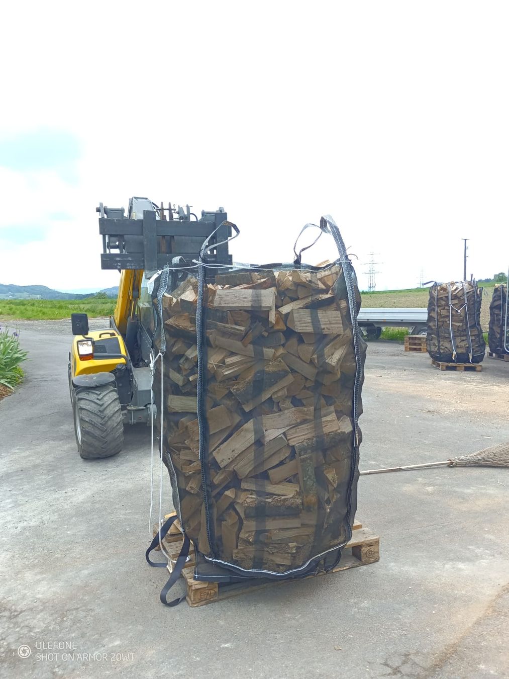Articoli in legno: Brennholz Chemineholz – Nuovo (secondo la descrizione) da Affoltern am Albis venduto da ret_6x6z