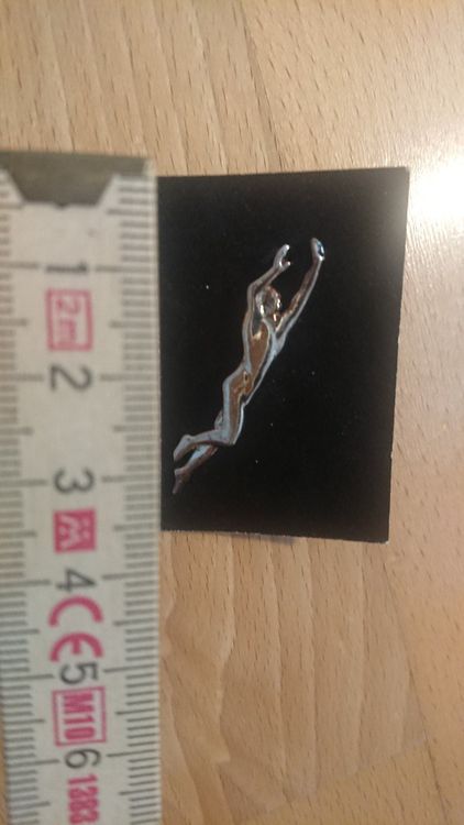 Pin (Neu (gemäss Beschreibung)) in Egg b. Zürich für CHF 1 – mit ...