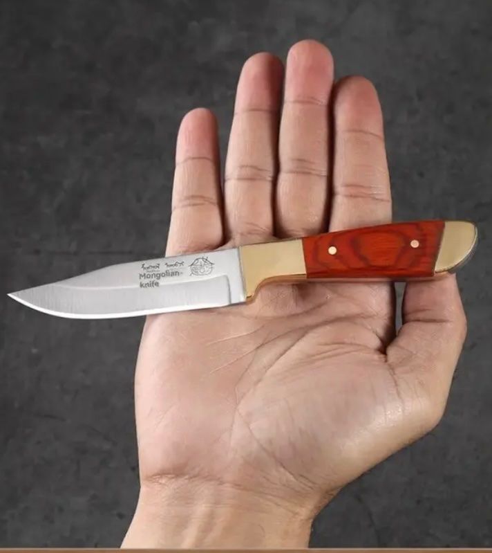 Coltelli: Haushalt Hand Gehackte Fleisch / Obst Messer  mit Etui! – Nuovo e nell'imballaggio originale da Seon venduto da Aaargauer01 3