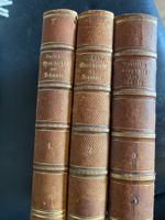 Dändliker, Geschichte der Schweiz, 3 Bände, 1884! (51)