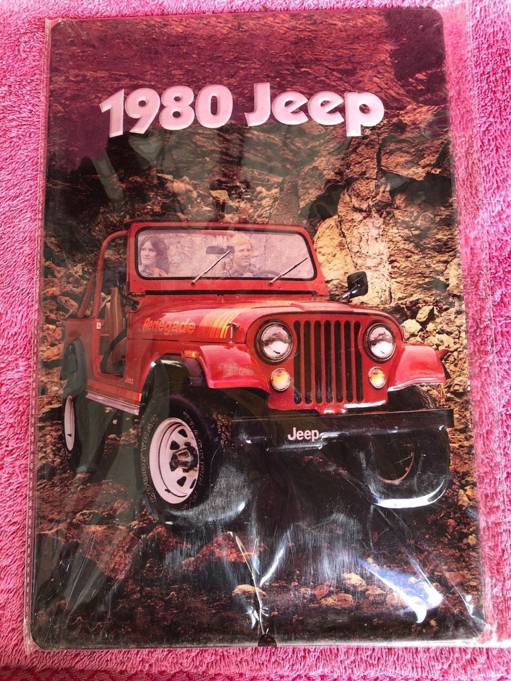 Insegne: Jeep 1980 cj v8 4x4 off road Oldtimer – Nuovo (secondo la descrizione) da Reinach AG venduto da rares75