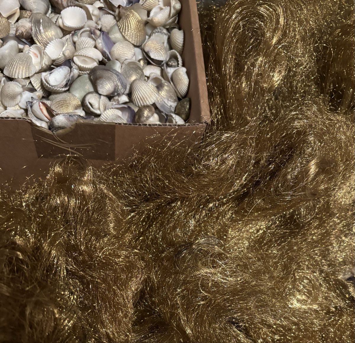 Tutte le decorazioni: Muscheln im Karton, zum Dekorieren, Basteln oder Sammeln – Usato da Urdorf venduto da leoale 1