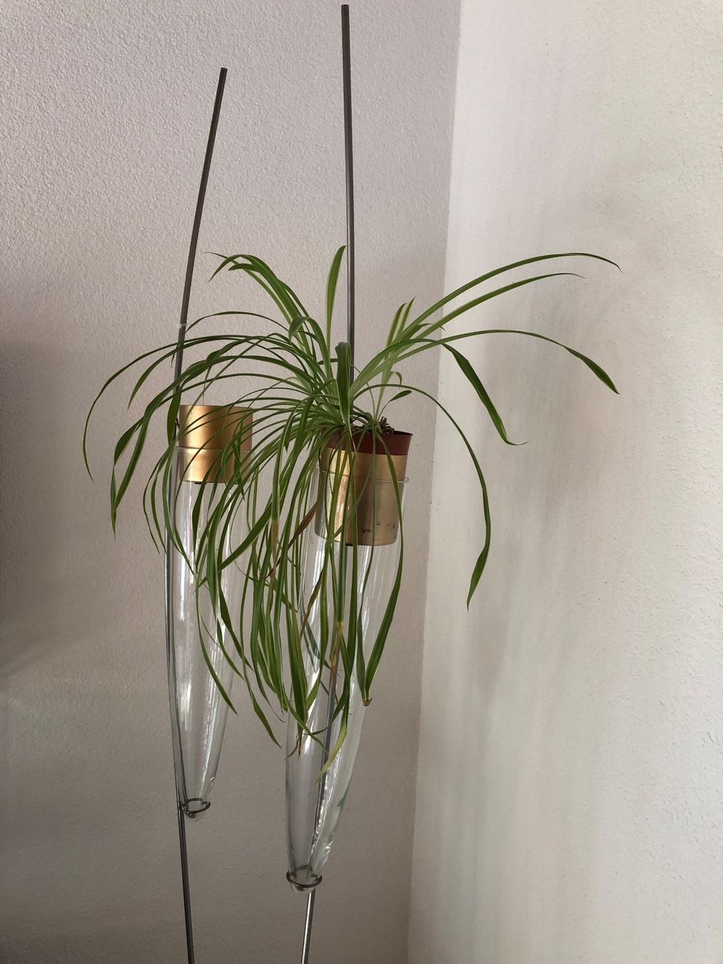 Sonstiges für Haushalt & Wohnen: 1 Stück wunderschöner Design Pflanzenständer – Gebraucht aus Herzogenbuchsee von Feltre. 1