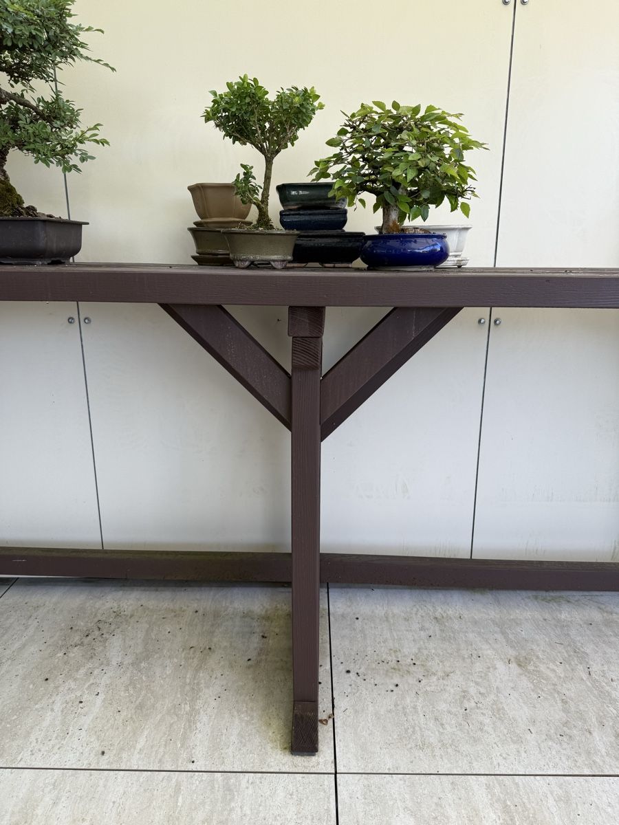 einsteiger bonsai Einsteiger-Bonsai-Set Cercis chinensis – Cultivea main image 1
