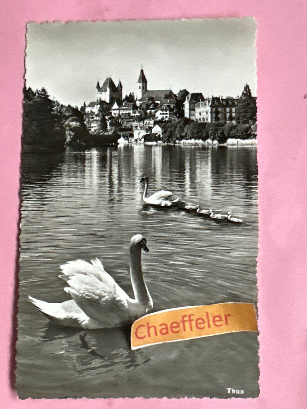 Cartes postales: 1954 Thun – D'occasion à Zürich par Chaeffeler