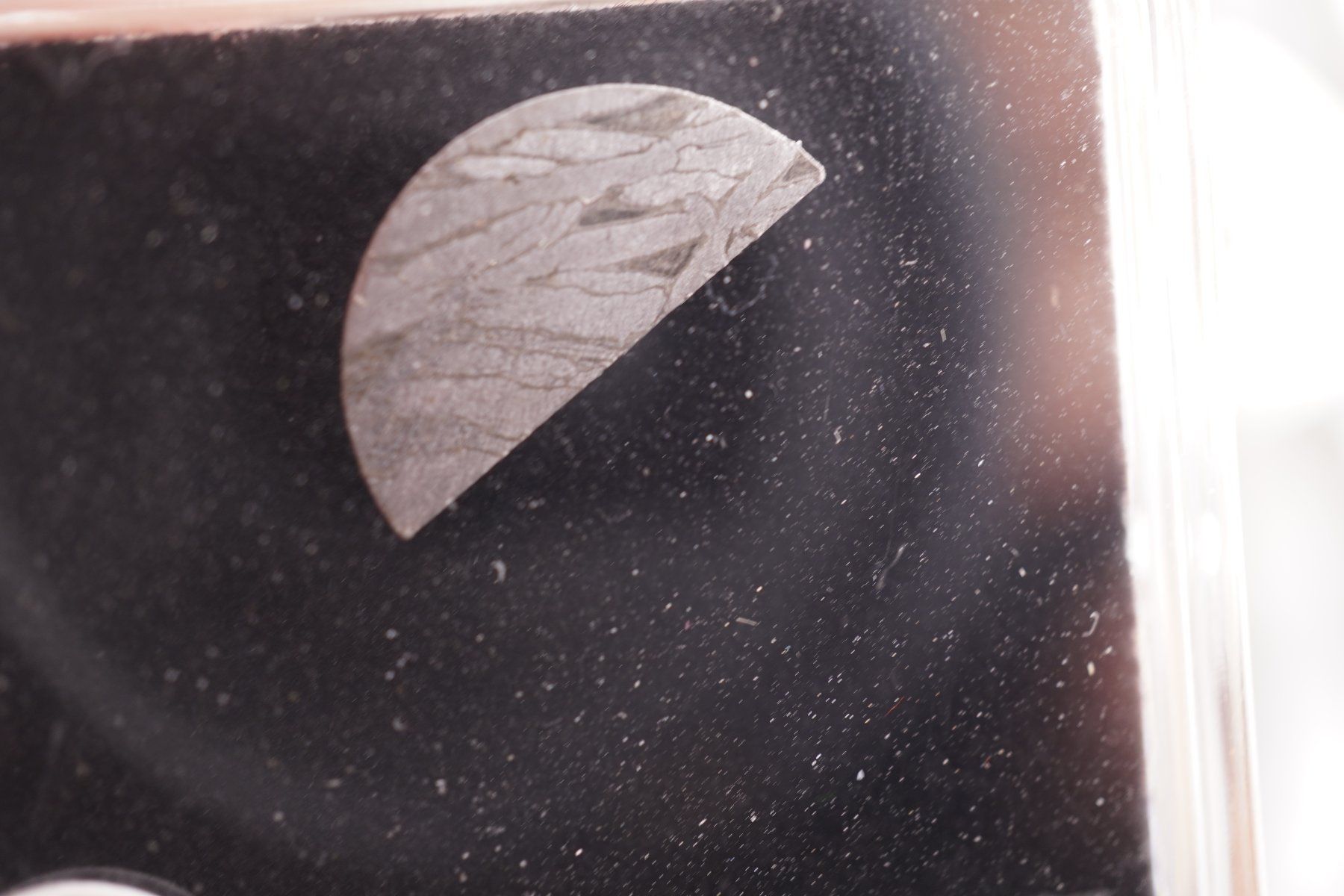 Minerali & Pietre curative: Eisenmeteorit Scheibe   Aletai    Ab 1.- – Nuovo e nell'imballaggio originale da Eschenbach SG venduto da topstone 6