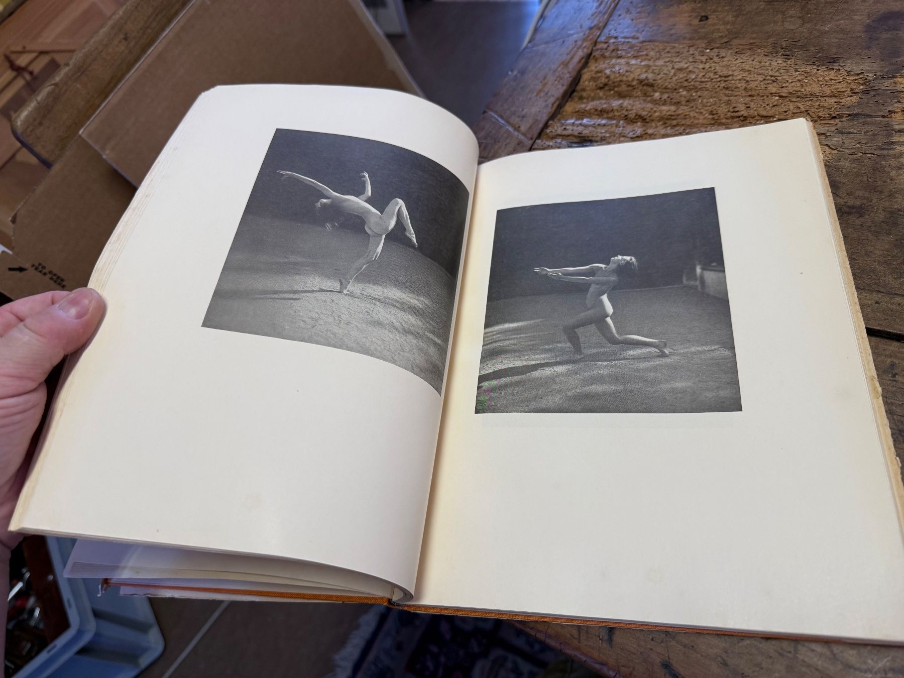 Libri: Paul JSENFELS getanzte Harmonien Bildband – Usato da Bern venduto da Jwpm66 3