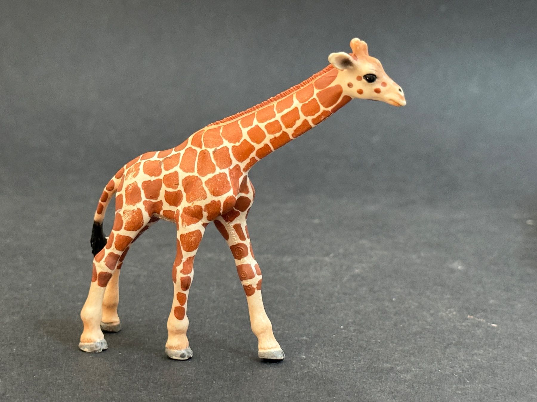 Schleich Statuette: Schleich Giraffe Giraffenbaby – Usato da Ennetbaden venduto da mapa05 2