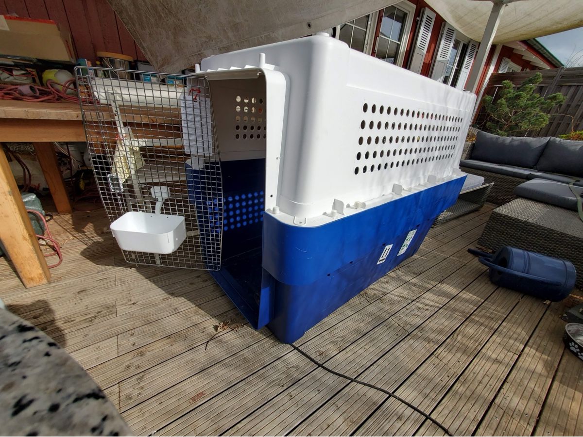 Cucce & Letti: XXL Hunde Transportbox - PP90 extended – Usato da Basel venduto da Froeschli