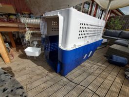 XXL Hunde Transportbox - PP90 extended