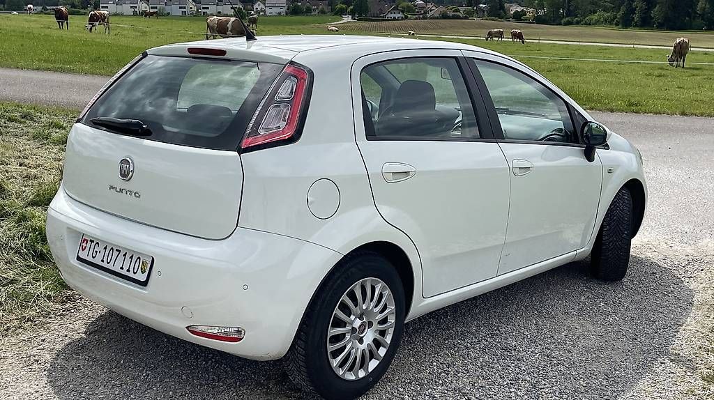 Automobili: Fiat Punto  – Usato da Frauenfeld venduto da chanchani67 1