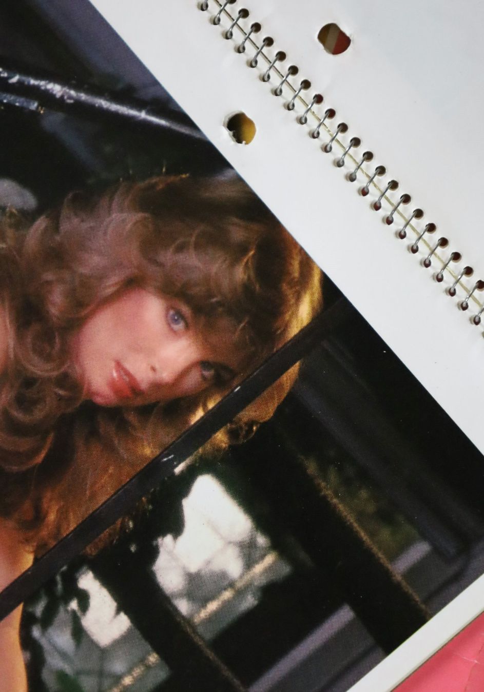 Playboy Calendari: PLAYBOY Kalender 1979 – Usato da Birrwil venduto da brandschatz_birrwil 6