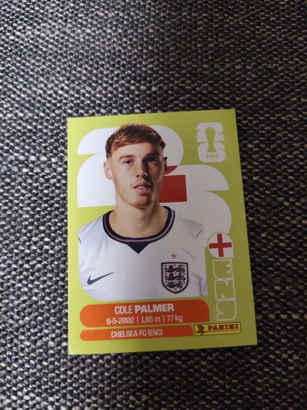Panini Carte collezionabili: Panini 2026 Wm Eng 12 – Nuovo (secondo la descrizione) da Lieli venduto da Maholo