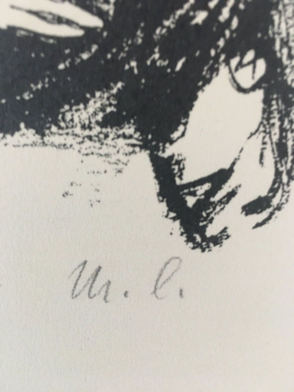 Grafica & Litografie: Mia Lederer   "Morphium"   FEDERZEICHNUNG / DRUCK – Usato da Nennigkofen venduto da juhit 3