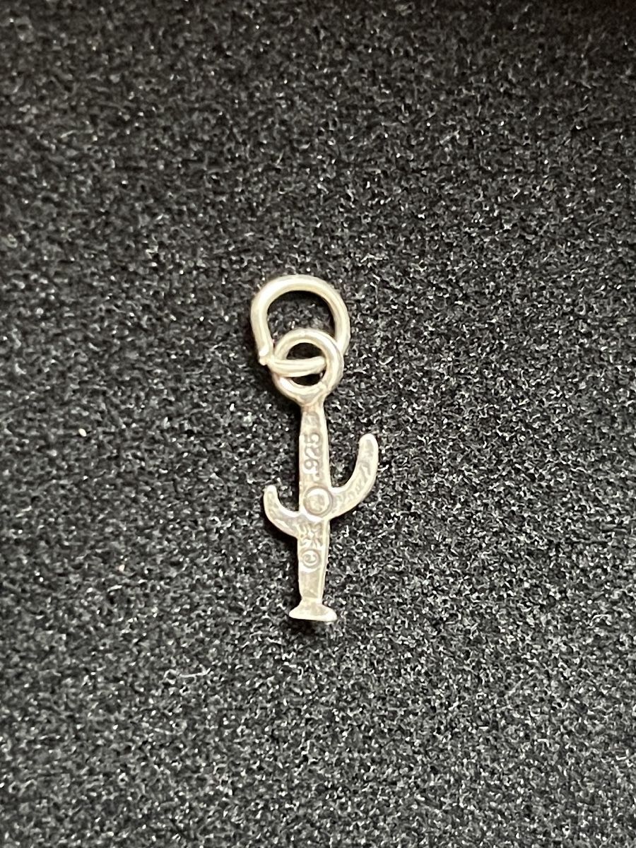 Anhänger: Silberner Kaktus Anhänger – Neu (gemäss Beschreibung) aus Herzogenbuchsee von Carla_8 1