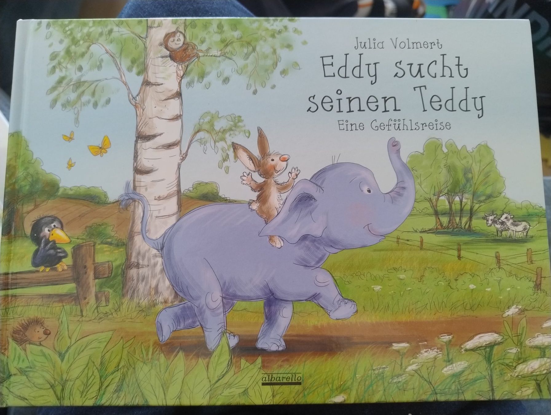 Libri: Eddy sucht seinen Teddy – Usato da Bätterkinden venduto da livingdreams