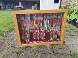 Sammlervitrine aus Holz mit Glas & Schlüssel, 80x60x10cm