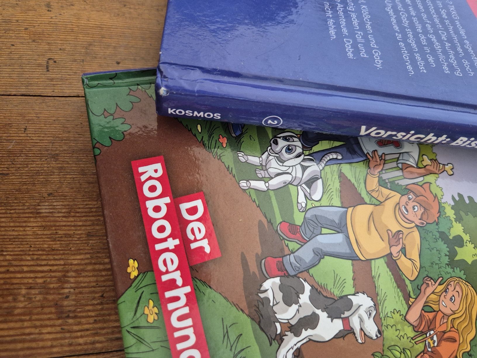 Libri: TKKG Junior – Usato da Frenkendorf venduto da naibaf01 3