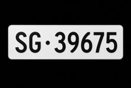 Auto Kontrollschild SG 39675