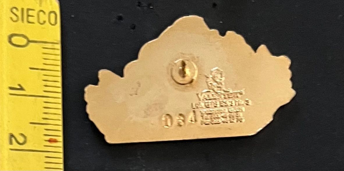 SBB/CFF/FFS Plaketten & Abzeichen: Dampflok mit Zugwagen/ Pin – Gebraucht aus Ostermundigen von DaxKarten-75 1