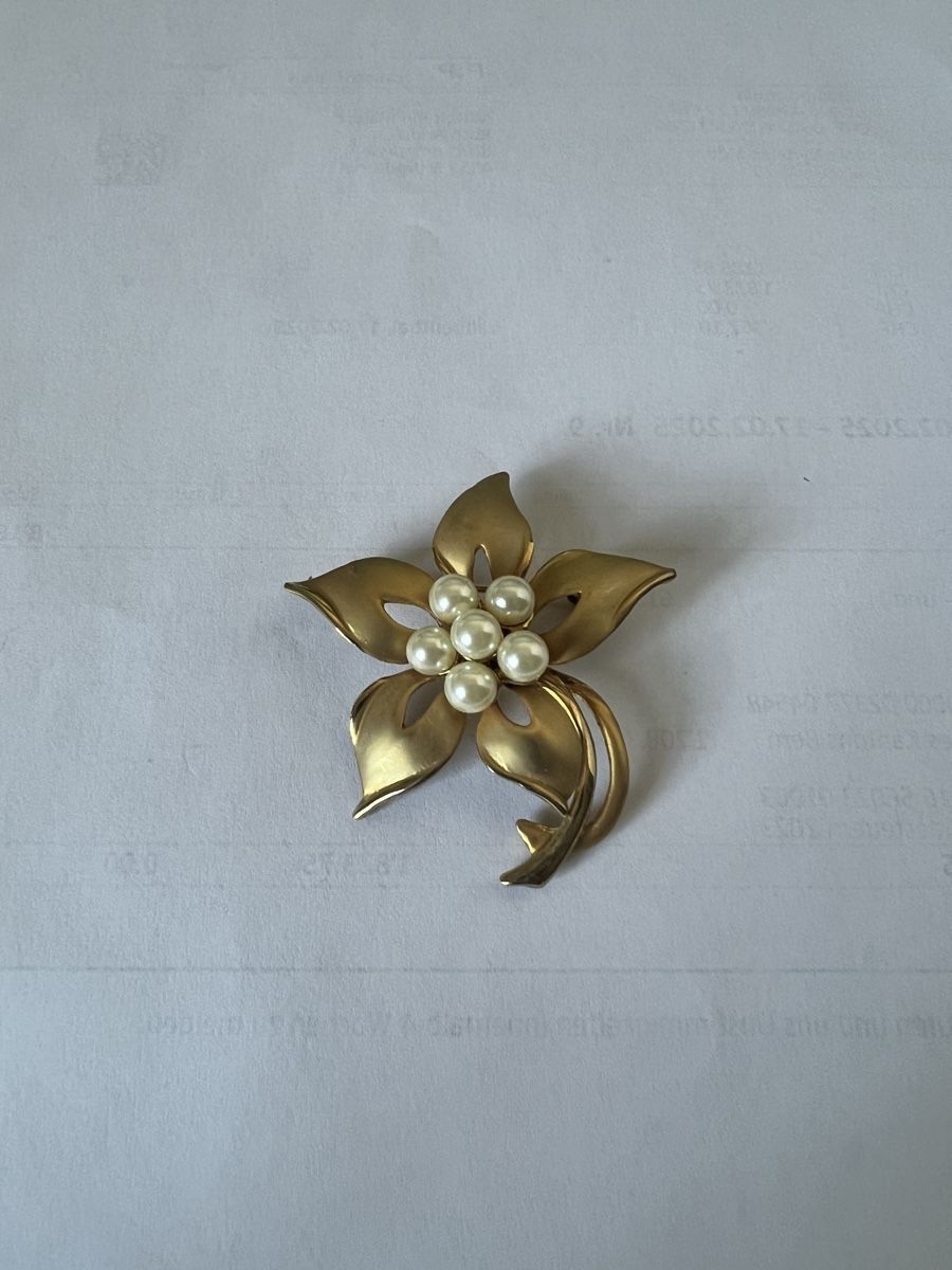 Broschen & Nadeln: Goldene Edelweiss Brosche mit Perlen – Gebraucht aus Roggwil BE von adler78