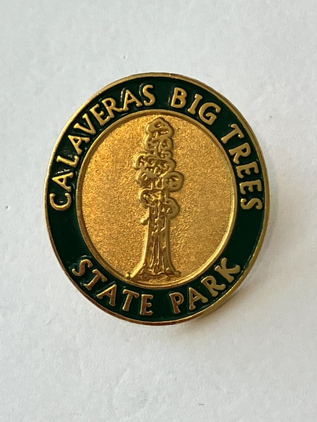 Plaketten & Abzeichen: 1 Pin Calaveras Big Trees State Park – Gebraucht aus Basel von djwwpp