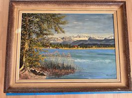 Idyllisches Ölgemälde Greifensee (1960)  von Federli