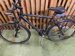 Focus Trekkingvelo (28 Zoll)  Shimano Deore, Nabendynamo