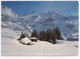 GRINDELWALD First Skigebiet, Schreckhorn, Mettenberg