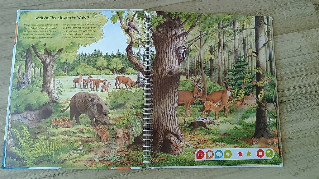Livres: Tiptoi Wald – D'occasion à Buttisholz par Baendlifahrer 1