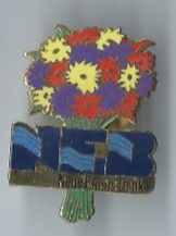 Placchette & Badge: NEB, Neue Emmen Bank, Pin – Usato da Zürich venduto da t24_de