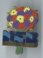 NEB, Neue Emmen Bank, Pin