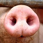 Profile image of Luisbueb
