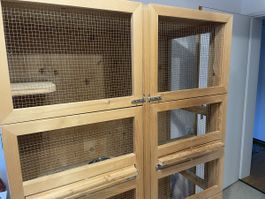 Vogelvoliere Holz, guter Zustand