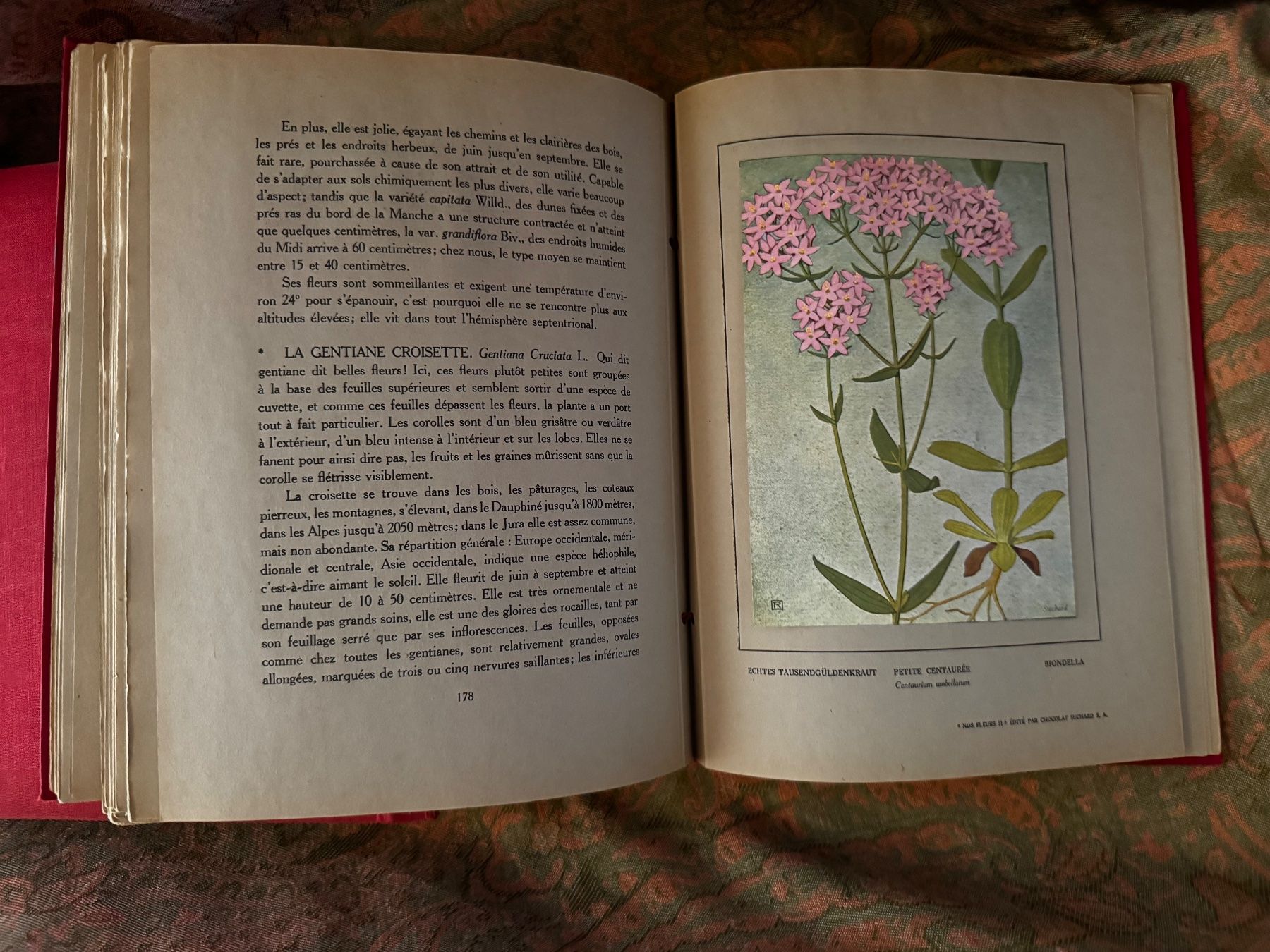 Libri: Nos Fleurs 1 et 2 Chocolat Suchard Philippe Robert 1913 – Usato da Ovronnaz venduto da Etagne68 7
