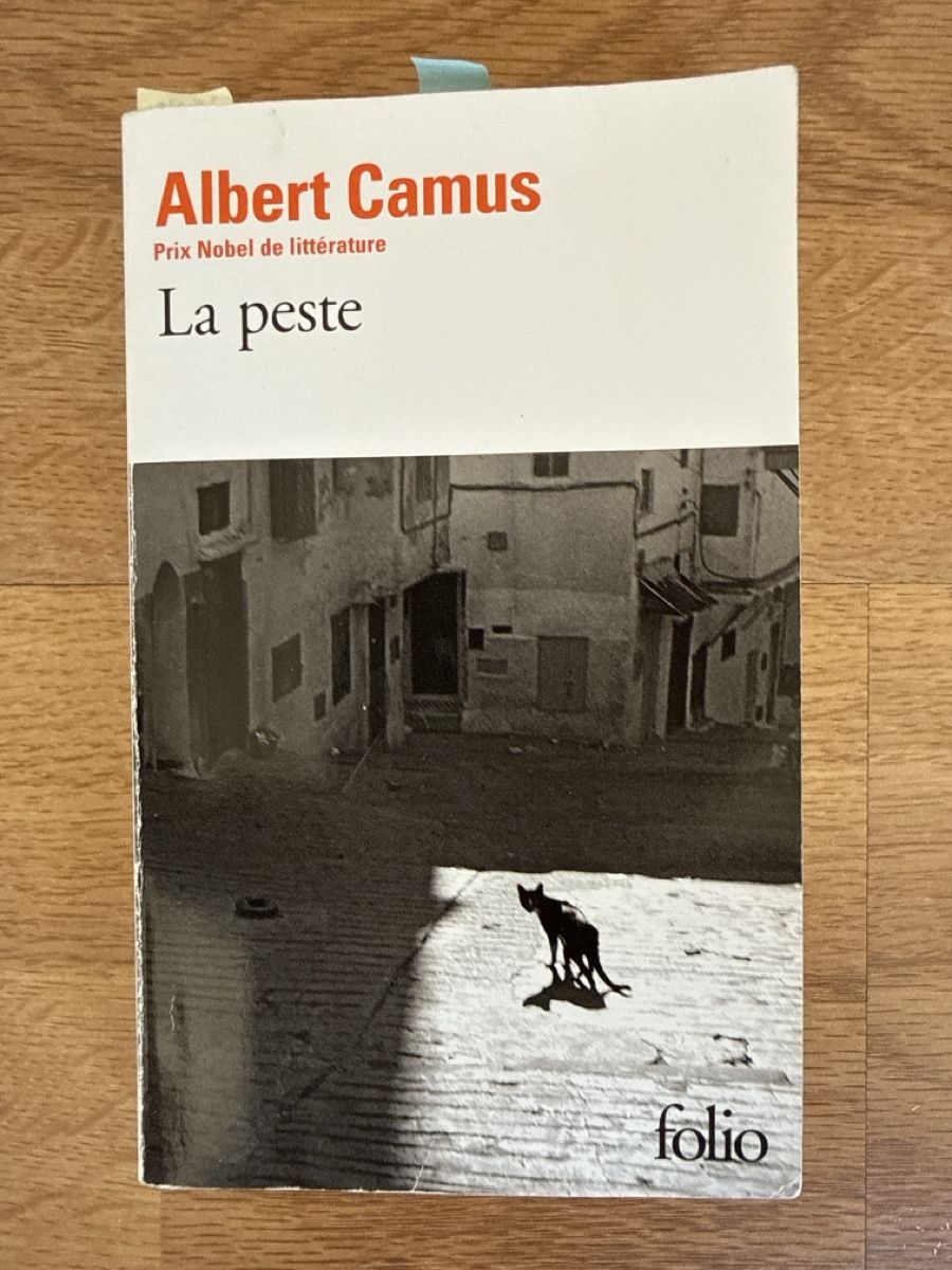Libri: La Peste von Albert Camus Folio – Usato da Gränichen venduto da cat_lady