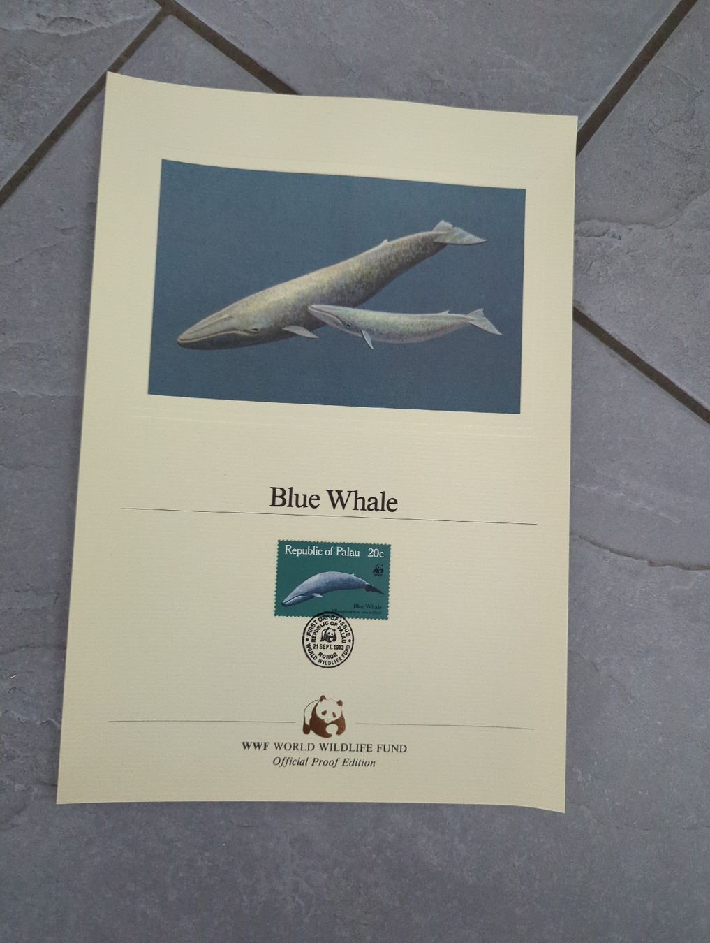 Alle Briefmarken: WWF Proof Edition, Palau, 4 Motive – Neu (gemäss Beschreibung) aus Kirchberg BE von Swoosh 2