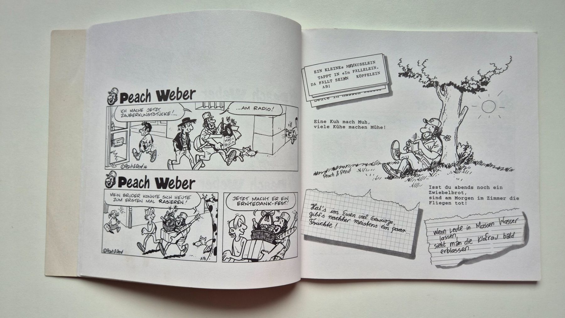 Comics: Peach Weber - Das Buch  / Nix wie Comix – Gebraucht aus Niederweningen von Obson 2
