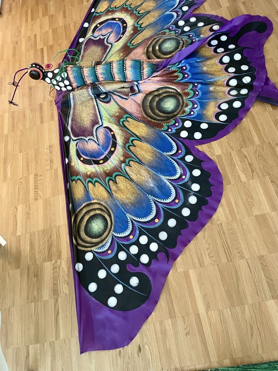 Tutte le decorazioni: riesengrosser Schmetterling – Usato da Schwerzenbach venduto da schwerzi70 3