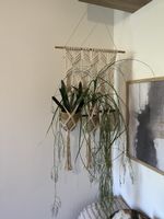 Schöne Makramee-Wandbehang / 3er-Blumenampel (Boho-Stil)