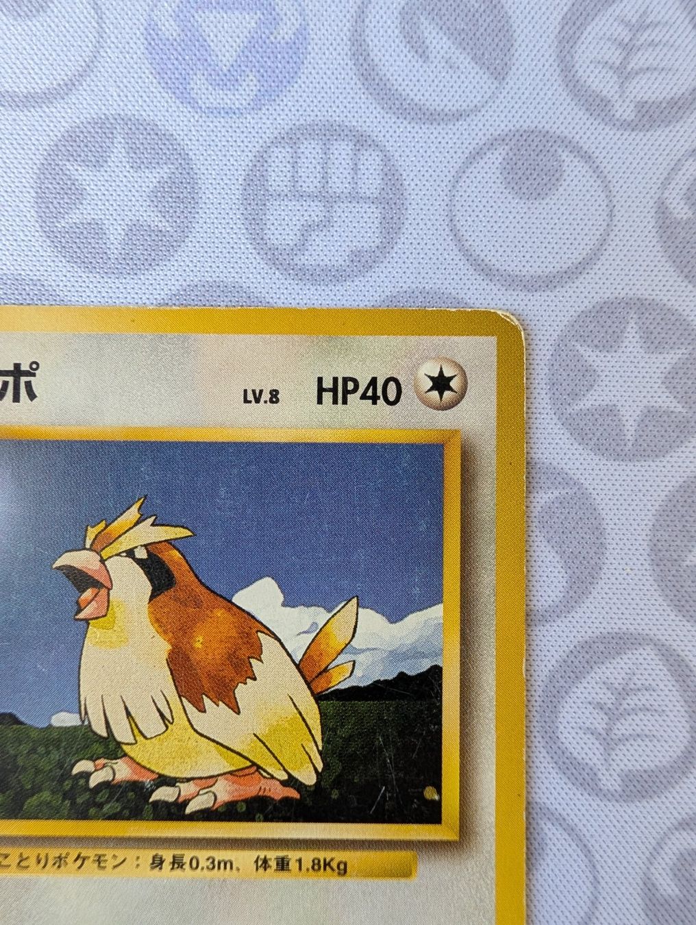 Pokémon Carte collezionabili: Carte Pokémon JAP Roucool Set de base 1996 – Usato da Thônex venduto da Janadel 1