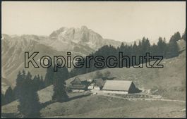 SG Schrina Alp - Walenstadtberg - Walenstadt
