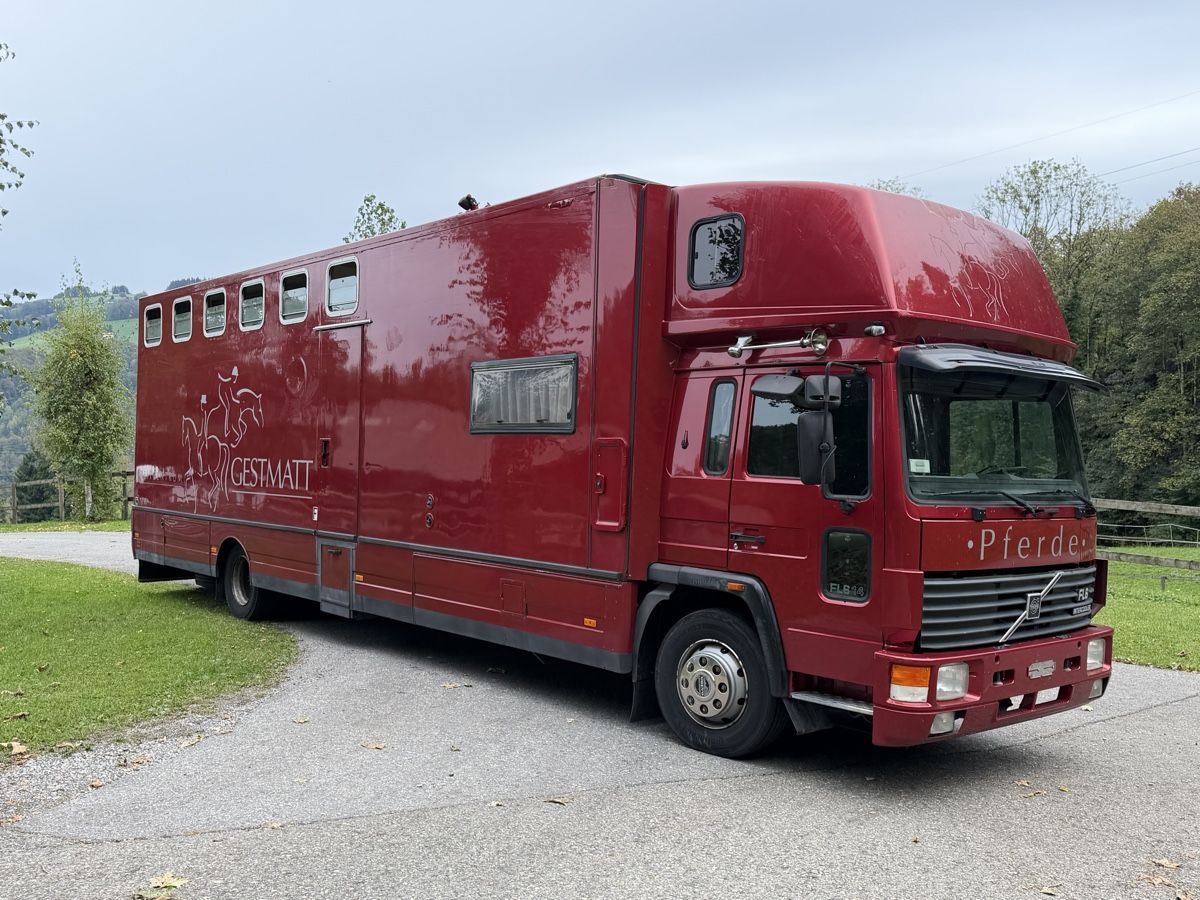 Mobile-home: Pferdetransporter/Wohnmobil – D'occasion à St. Gallen par rap_kql2 1