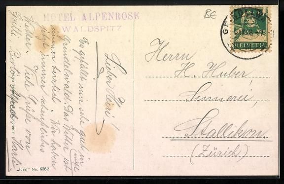 Cartoline postali: Grindelwald, Waldspitz, Hotel Alpenrose  – Usato da Berlin venduto da bartko-reher 1