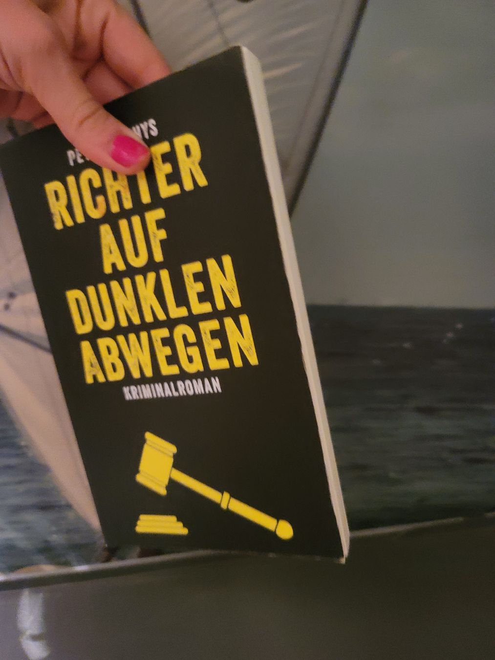 Bücher: Peter Mathys, Richter auf dunklen Abwegen, Kriminalroman – Gebraucht aus Zollikerberg von Nice_Name 2